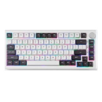 Bàn phím cơ Fuhlen H75S Panda